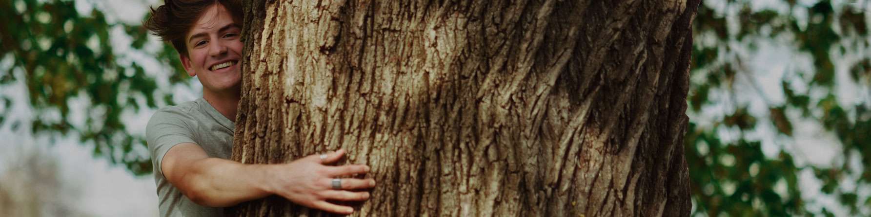 Pulp & fiber purchase